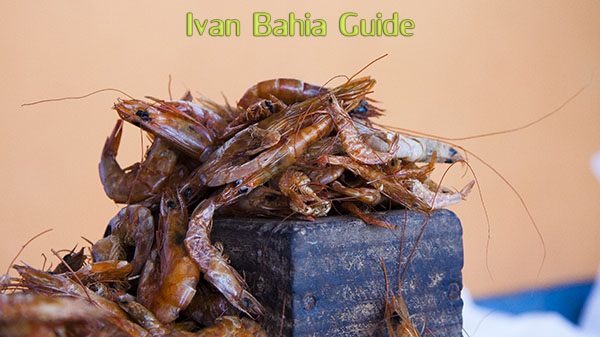 Typical dry shrimp on a market in Salvador da Bahia - with Ivan's Salvador da Bahia & Chapada Diamantiana national park's official tour guide