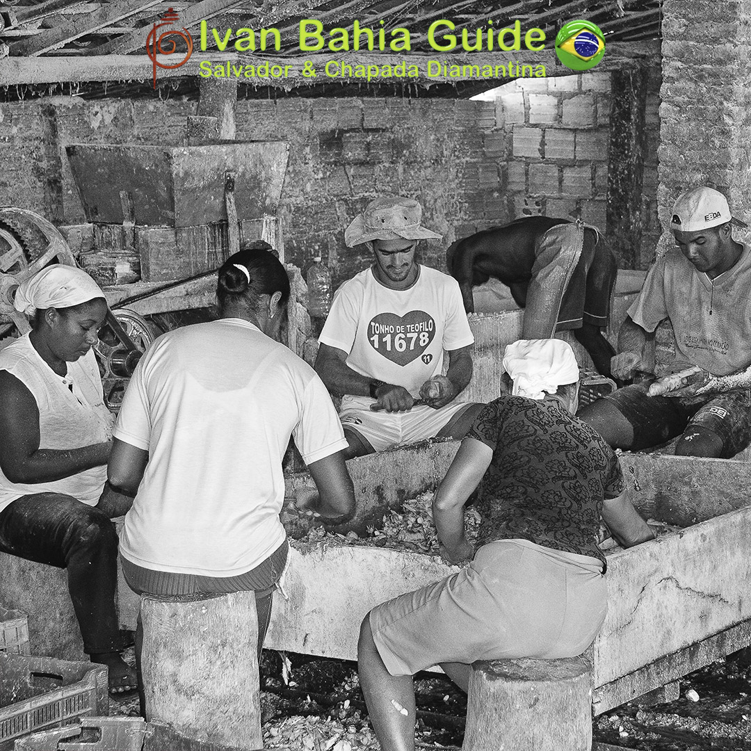 day-tour / visit Salvador da Bahia from your cruise ship with Ivan Bahia private Guide, exclusive photography #ivanbahiaguide #toursbylocals @ #bahiametisse #ssalovers #ivanbahiatravelguide #salvador