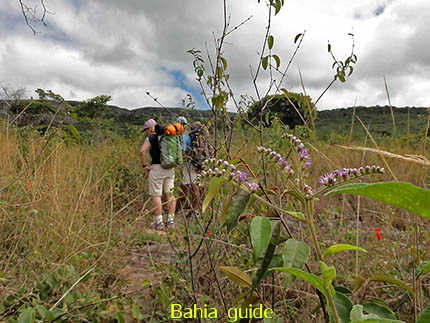 nooit uitgekeken op de vegetatie, fotos Chapada Diamantina nationaal park, wandelingen & trekking met vlaamse reis-gids Ivan (die al 10 jaar in Bahia woont) voor uw rond-reis met begeleiding in het Nederlands in Brazilië