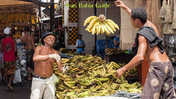 Les vendeurs de bananes faisant leur triage au Mercaco São Joachim à Salvador da Bahia, à dévouvrir avec Ivan Bahia Guide @ivanbahiaguide #IvanBahiaGuide #IvanSalvadorGuide #Bresil #BresilEssentiel  #SalvadorGuide #BahiaFotoguidebresil #FernandoBingreTourGuide #VoyageBahia #VoyagerAuBresil #IBG #GuideDeTourismeSalvadorBahiaBresil