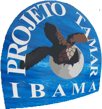 Schildpadden Projeto Tamar met Ivan Salvador & Bahia reis-gids / tour/guide